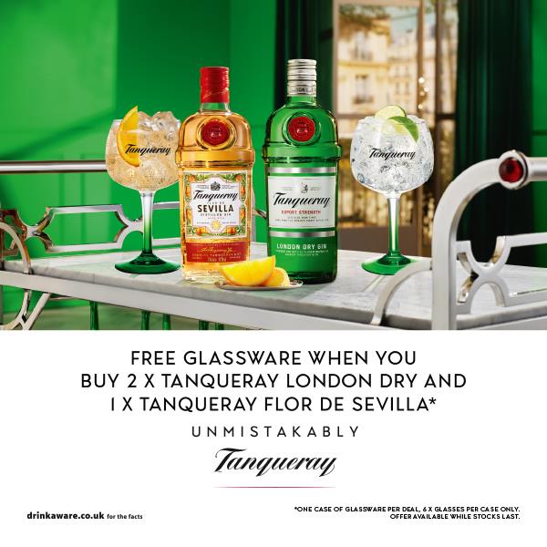 3 x Tanqueray & Gin Glass Bundle